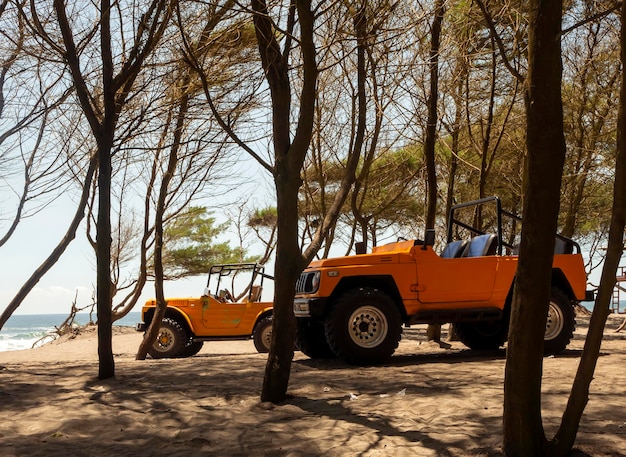 Dois carros laranjas na praia de Bantul, Yogyakarta, Indonésia