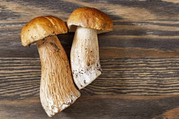 Dois cogumelos boletus edulis em fundo de madeira velho