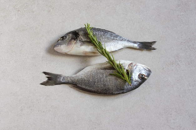 Dois dorado orgânico do mar cru fresco ou dourada com especiarias e limão em um fundo cinza Copiar espaço