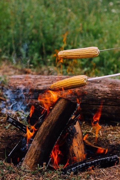 Dois espetos de metal com espetos de milho são colocados sobre o fogo, fritando vegetais ao ar livre na natureza. conceito de acampamento