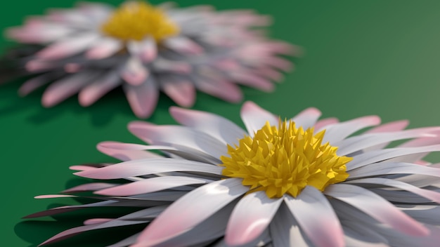 Dois estrados brancos e rosas Fundo verde Ilustração abstrata 3d render closeup