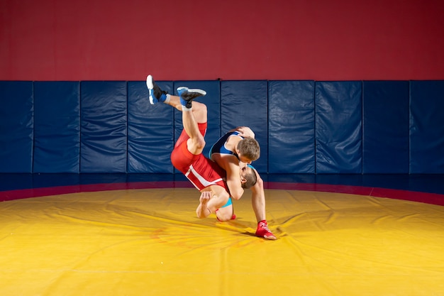 Dois homens fortes de meia-calça azul e vermelha estão lutando e fazendo uma luta suplex