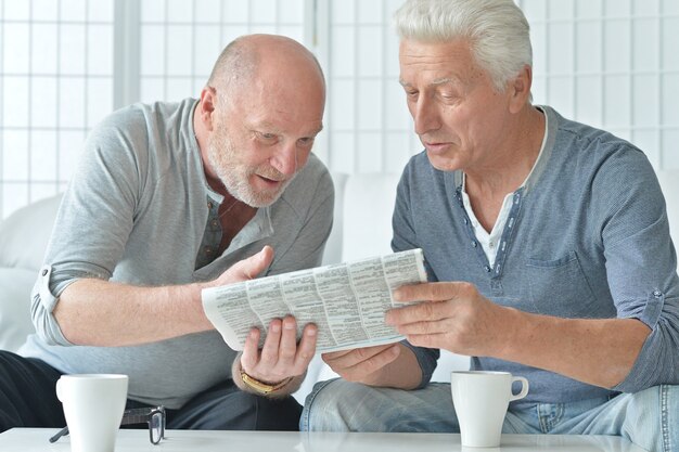 Dois homens idosos com jornal e chá em casa
