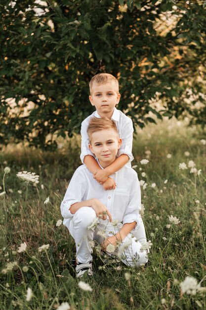 Dois irmãos meninos brincam e caminham na natureza no verão. Infância feliz. Emoções positivas