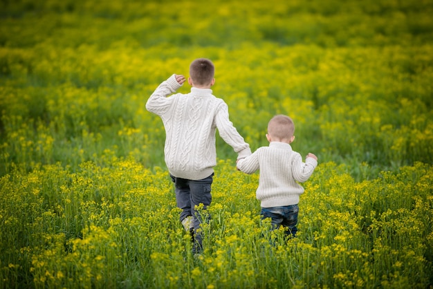 dois irmãos se dão as mãos e entram em um campo amarelo florescente.