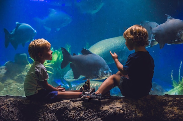 Dois meninos olhando para os peixes no aquário.