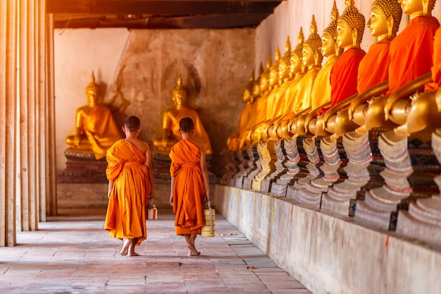 Dois, noviços, andar, retorno, e, conversa, em, antigas, templo, em, pôr do sol, tempo, província ayutthaya, tailandia