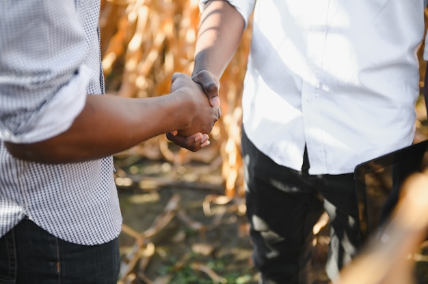 Dois parceiros de agricultores africanos apertando as mãos. O conceito de agronegócio