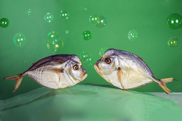 Foto dois peixes secos de selene vomer em um fundo verde com bolhas