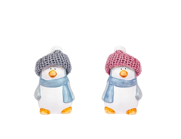 dois pinguins isolados no fundo branco