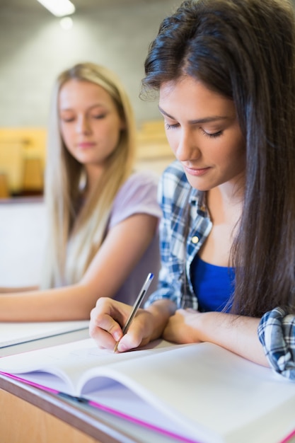 Foto dois, sério, estudantes, trabalhando, junto, em, universidade