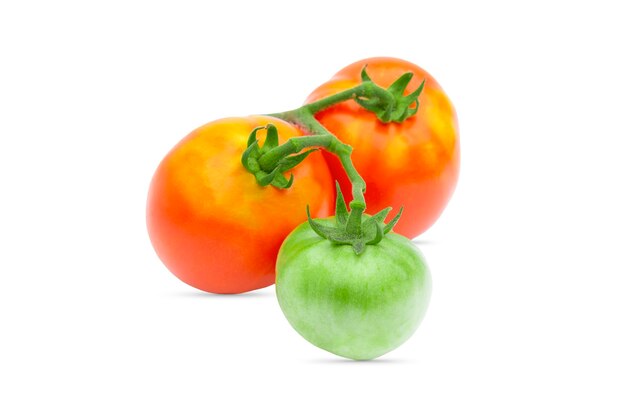 Dois tomates vermelhos e um verde em um fundo branco