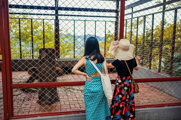 Dois turistas asiáticos estão na gaiola com animais em um parque zoológico ou safari.