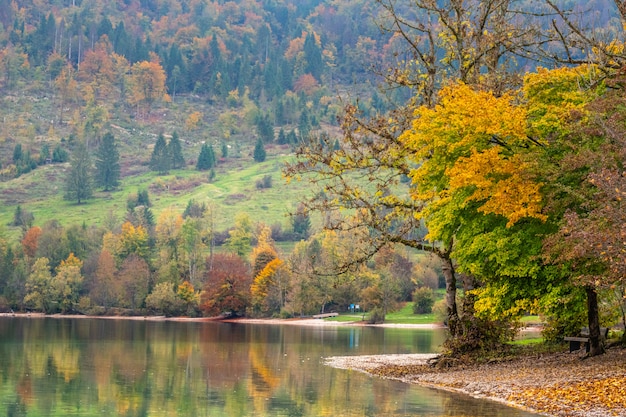 Dois turistas irreconhecíveis fazem uma viagem de canoa pelo cênico lago Bohinj em um lindo dia no outono. Caiaque de viajantes em direção à costa e casas de férias escondidas entre árvores que mudam de cor