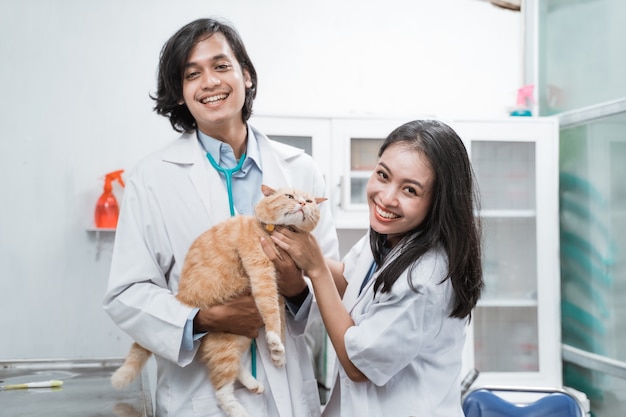 Dois veterinários asiáticos sorridentes olhando enquanto examinavam um gato marrom na clínica veterinária