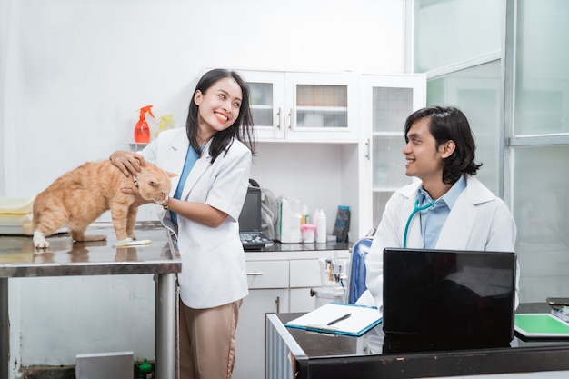 Dois veterinários estão conversando e uma veterinária está segurando um gato em uma mesa na clínica