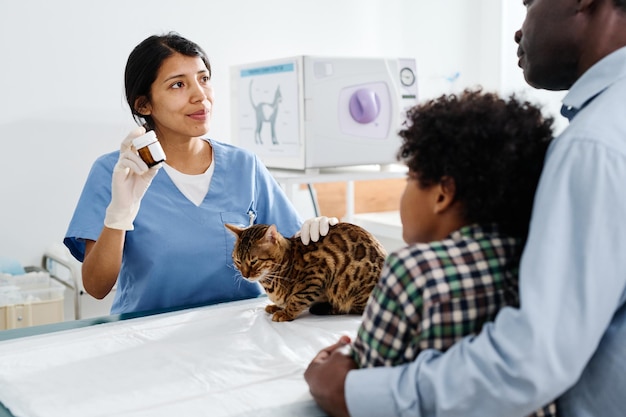 Doktor, der erklärt, wie man Katze behandelt