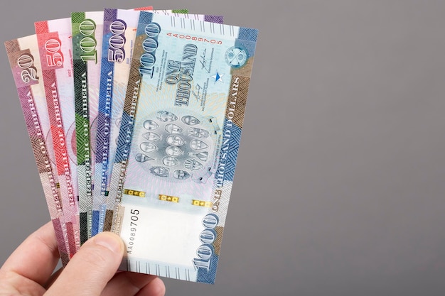 Dólar liberiano nova série de notas em um fundo cinza