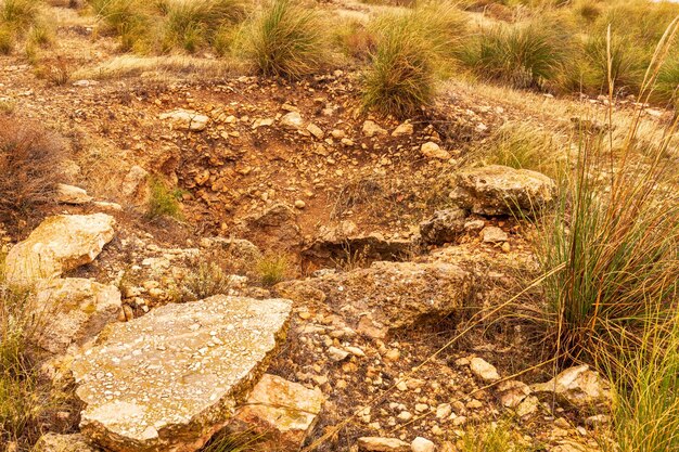 Dolmen numero de los de pedro martinez granada