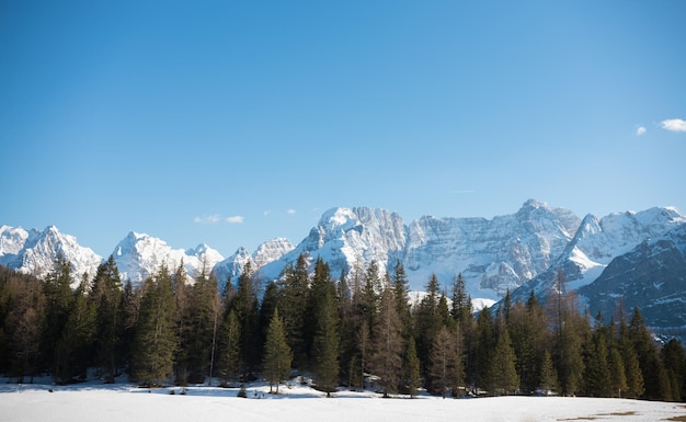 Dolomitas naturaleza un paisaje de montañas y bosques con suelo nevado