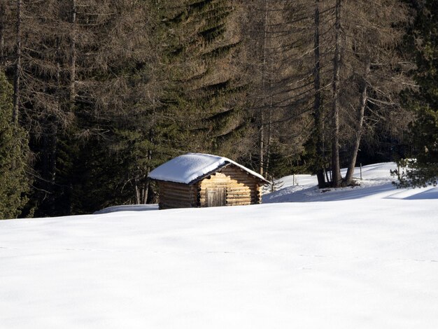 Dolomitas nieve panorama cabaña de madera val badia armentara