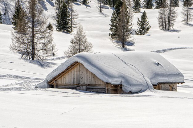 Dolomitas nieve panorama gran paisaje choza cubierta de nieve