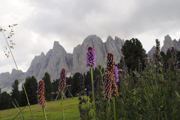 Dolomiten an einem bewölkten Tag