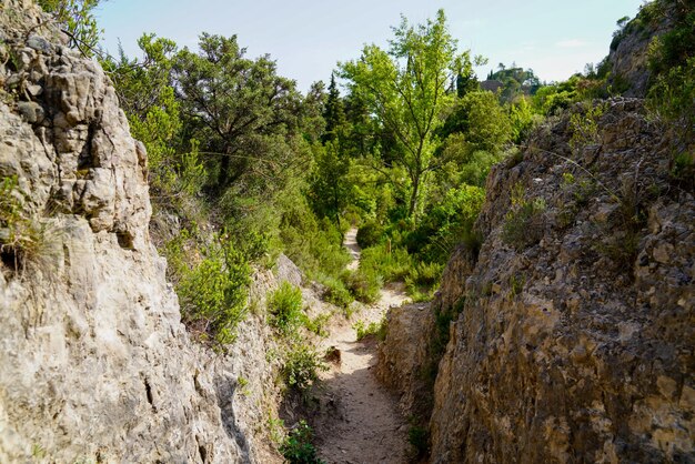 Dolomiten des Moureze-Gebirgsparks Herault mit Felsspitzen in Waldfranzösisch