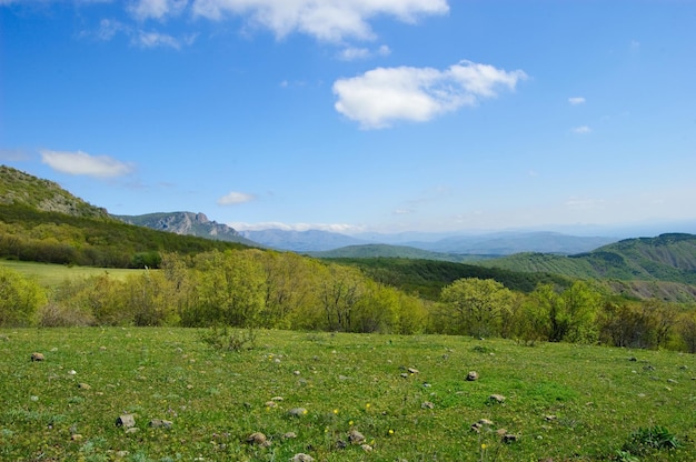 Ídolos de piedra de la montaña South Demerdzhi sobre un fondo de nubes Crimea