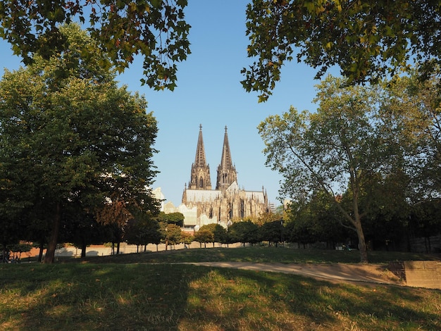 Dom St. Peter in Köln