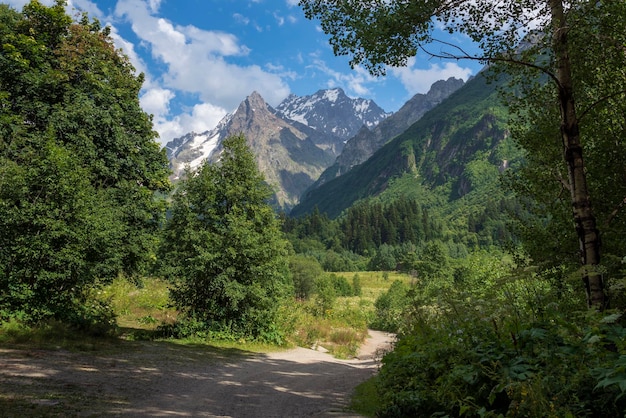 DombayUlgen-Schlucht im Nordkaukasus an einem sonnigen Sommertag Dombay KarachayCherkessia Russland