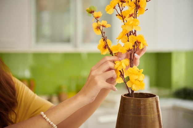 Dona de casa colocando ramos de damasco em flor no vaso ao decorar a casa para tet