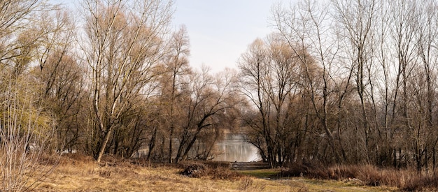 Donau im Winter