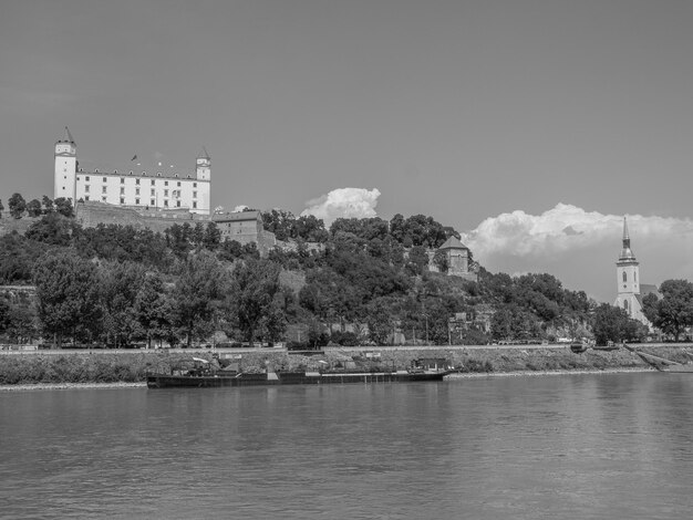 Donau in Österreich