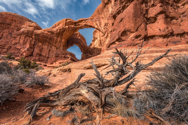 Foto doppelbogen im arches national park in utah