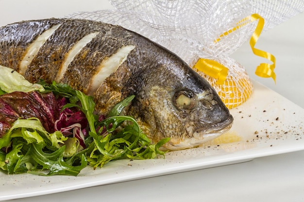 Dorada-Fisch mit Salat auf der weißen Platte Studioaufnahme