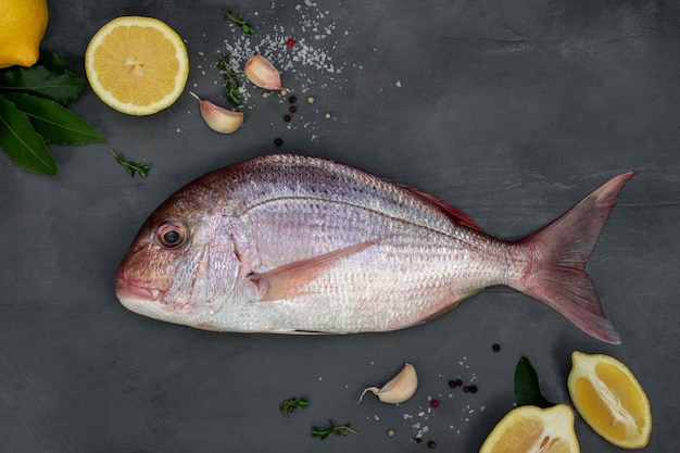 Dorada de mar cruda fresca decorada con rodajas de limón, hierbas y ajo sobre una mesa de hormigón gris Mariscos frescos