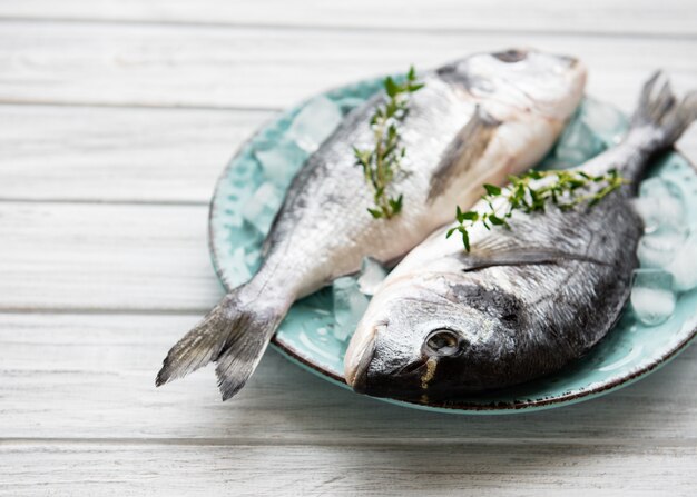 Dorada de pescado fresco