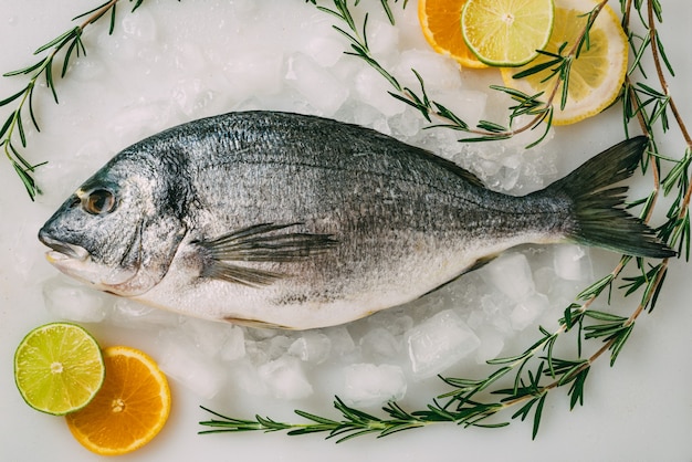 Dorada pescado sobre hielo con romero limón naranja y lim