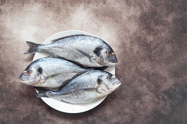 Dorada real fresca sobre fondo marrón. Concepto de comida sana Vista superior, copia espacio.