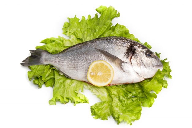 Dorada