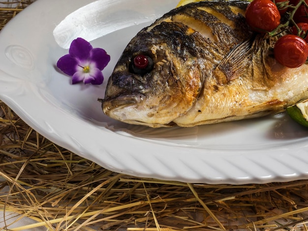 Dorado auf dem Grill mit gebackenen Kirschtomaten auf dem Teller