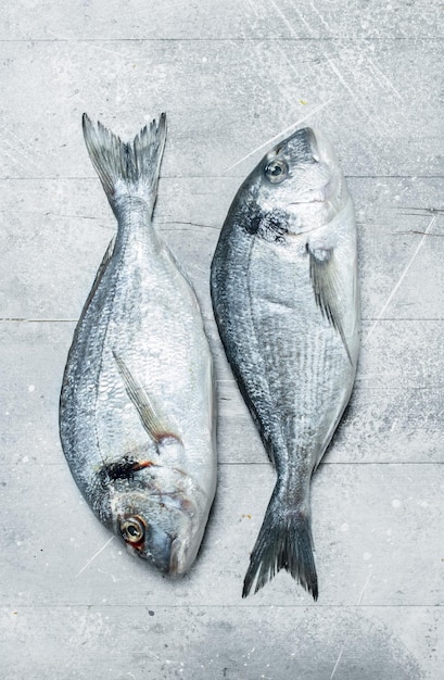 Dorado de peixe de mar cru