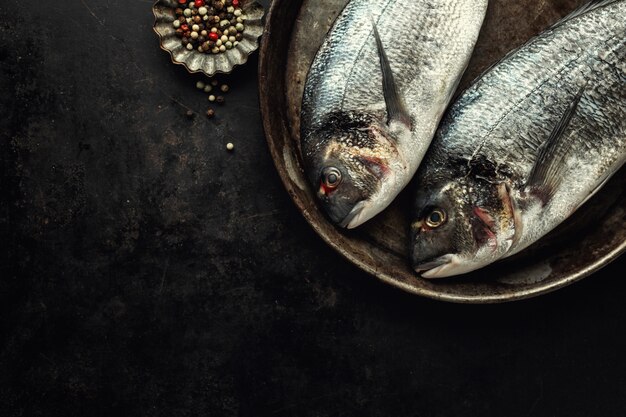 Dorado fisch mit zutaten auf dunkel