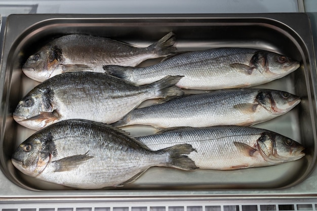 Dorado y lubina crudos frescos en el supermercado