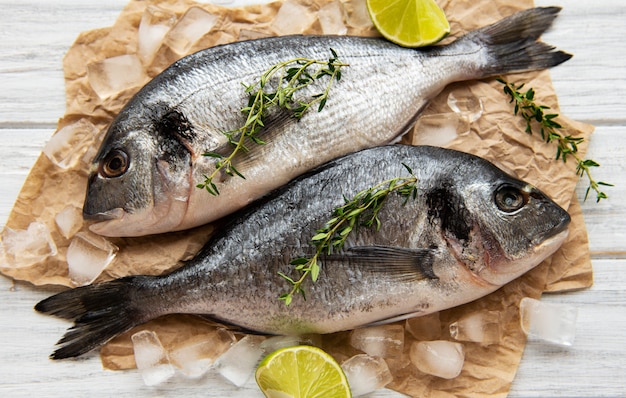 Dorado mit frischem Fisch