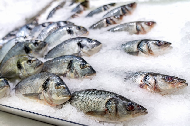 Dorado pescado en hielo, mariscos crudos en el mercado de cerca