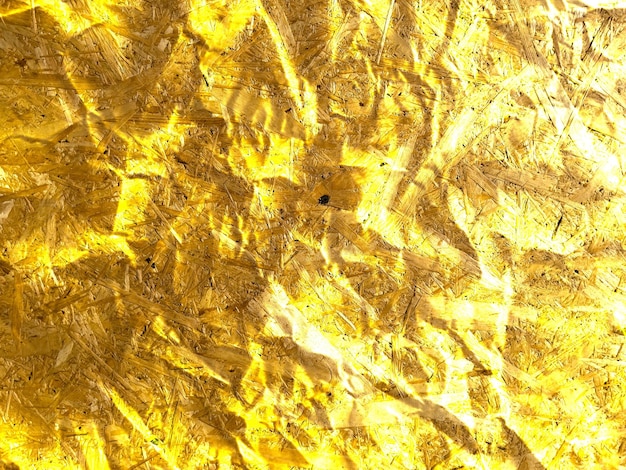El dorado.