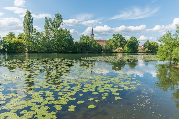 Dorf am Fluss mit Seerosen im Frühjahr