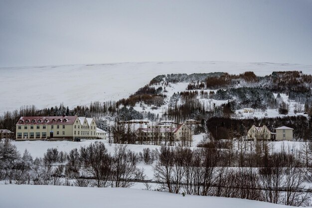 Dorf Laugar in Reykjadalur in Nordisland